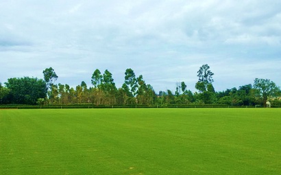 Campos de polo com grama Itograss