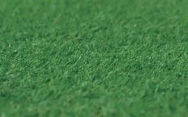 Grama Bermudas TifEagle, a melhor opção de grama para greens de golfe e quadras de tênis