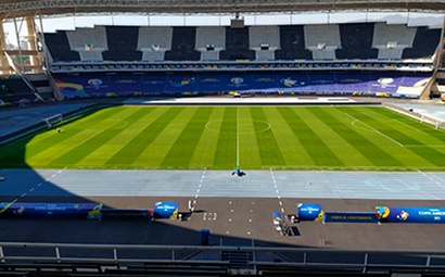 Importância do replantios como ferramenta de manejo