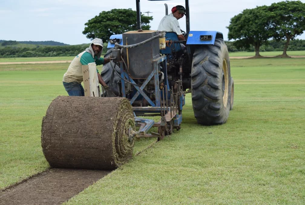 Grama será levada em rolos para o Maracanã (Foto: Gustavo Garcia)