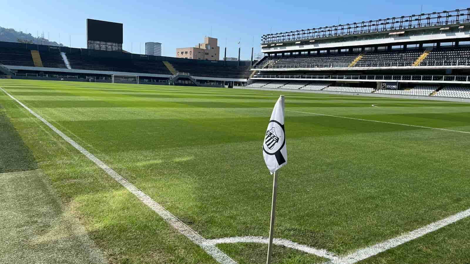 Gramado do estádio do Santos